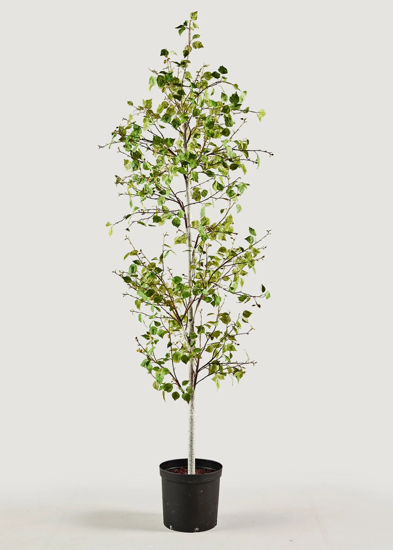 Artificial Birch Tree Potted Plant - 7'