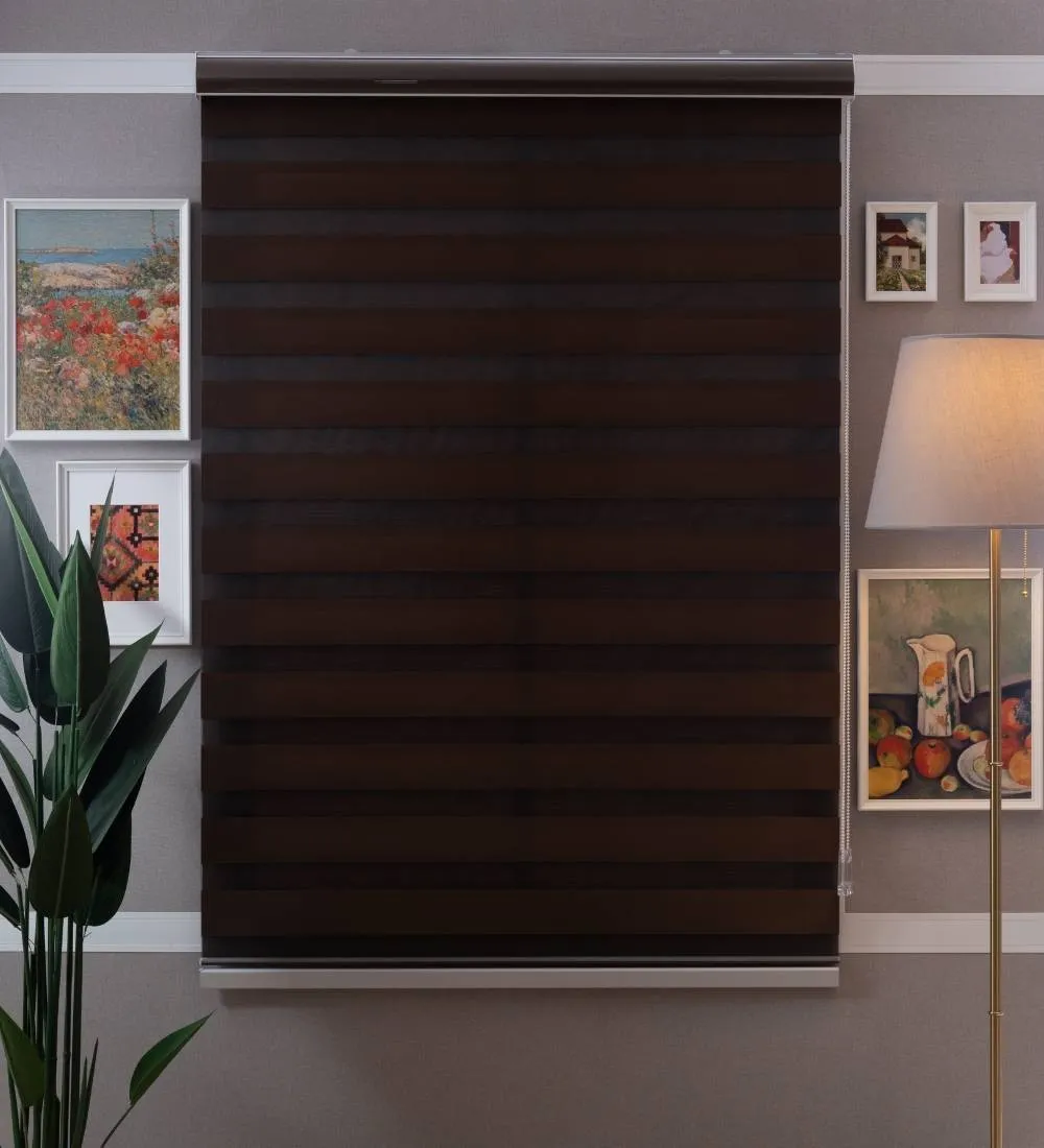 Bali Classic Blackout Zebra Blinds