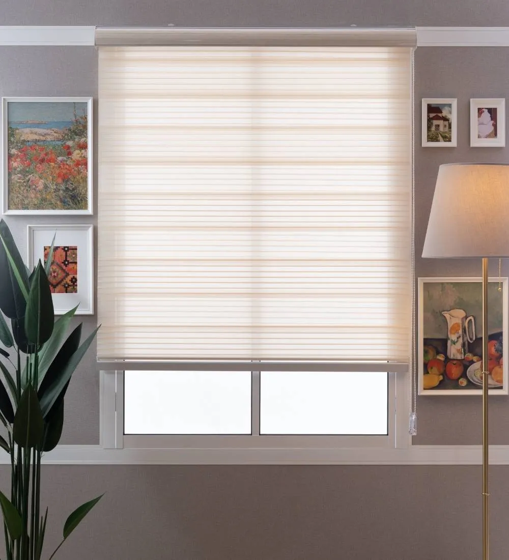 Bardo Pleated Room Darkening Zebra Blinds