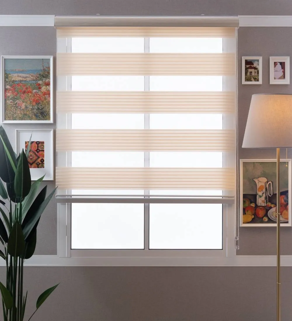 Bardo Pleated Room Darkening Zebra Blinds