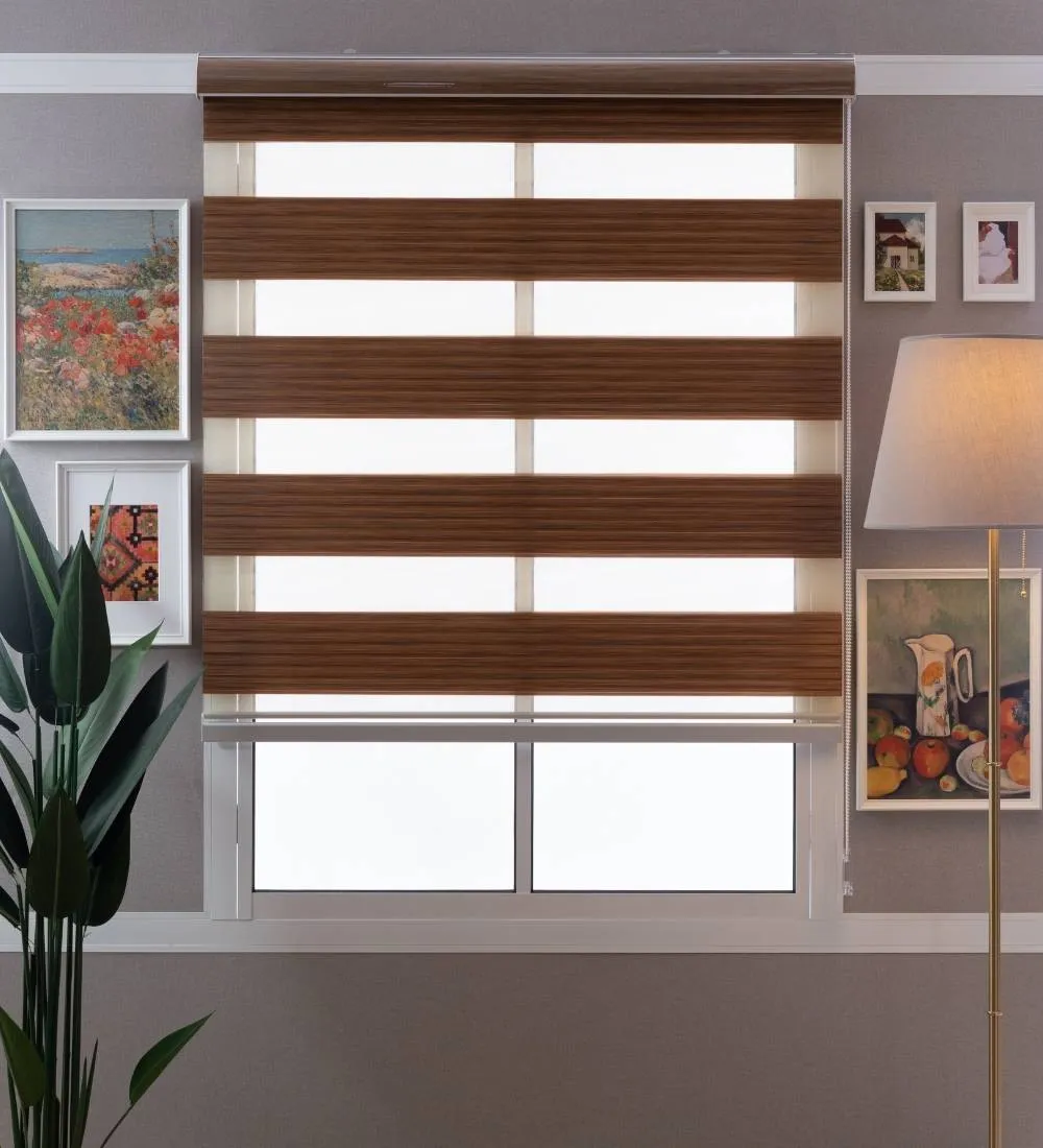 Bardo Pleated Room Darkening Zebra Blinds