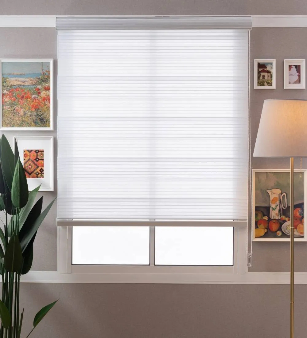 Bardo Pleated Room Darkening Zebra Blinds