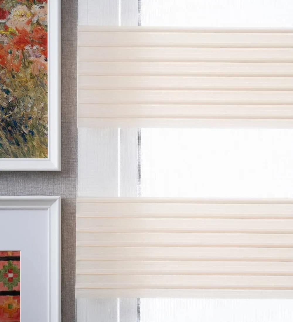 Bardo Pleated Room Darkening Zebra Blinds