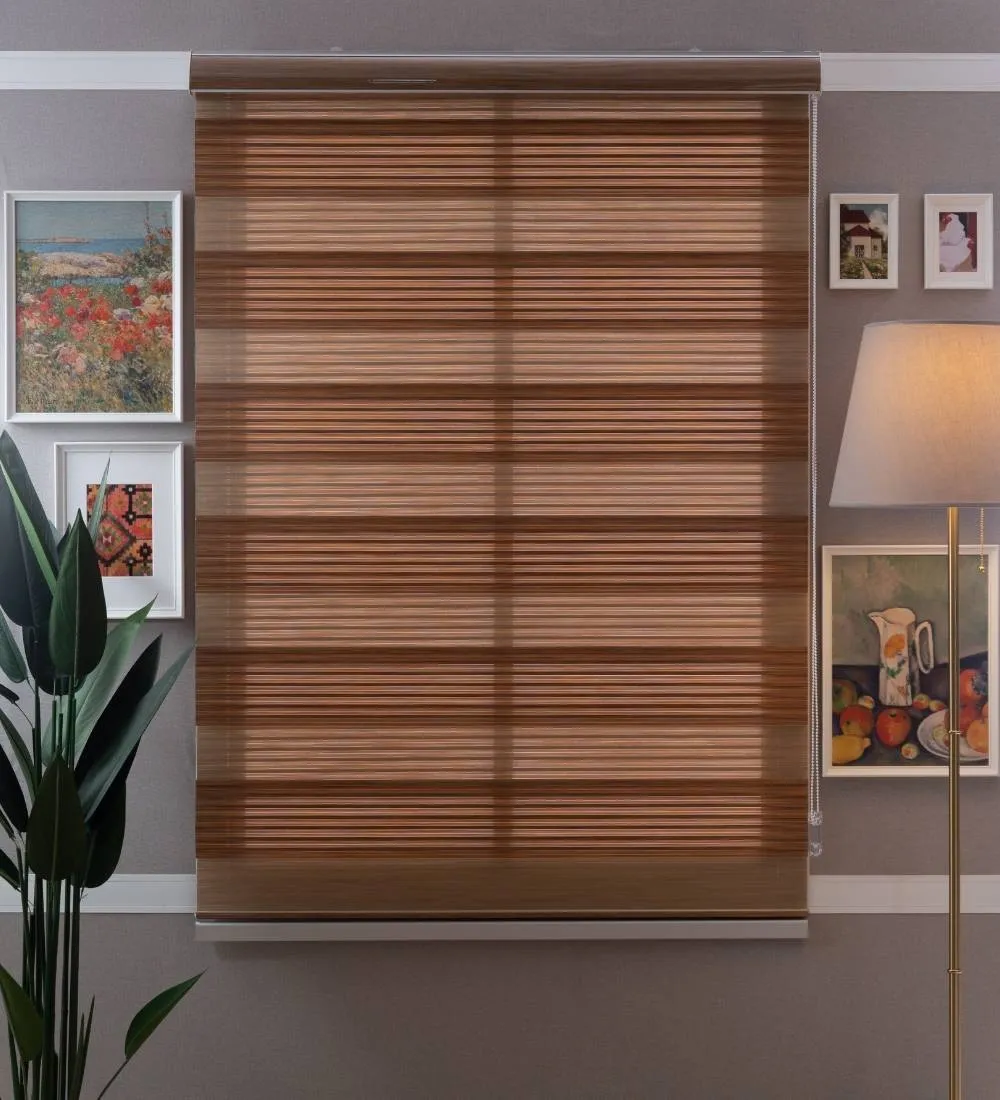 Bardo Pleated Room Darkening Zebra Blinds