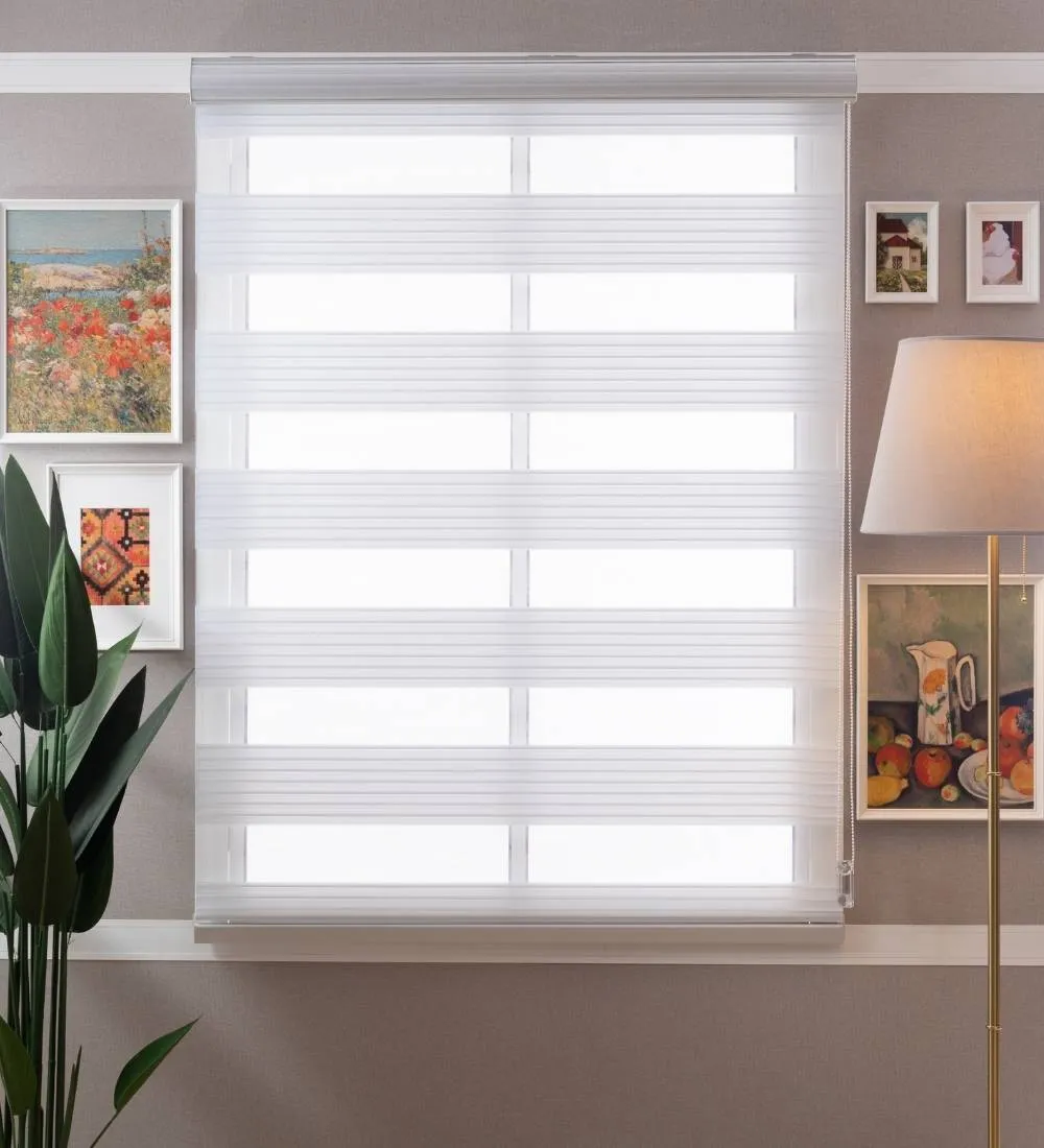 Bardo Pleated Room Darkening Zebra Blinds