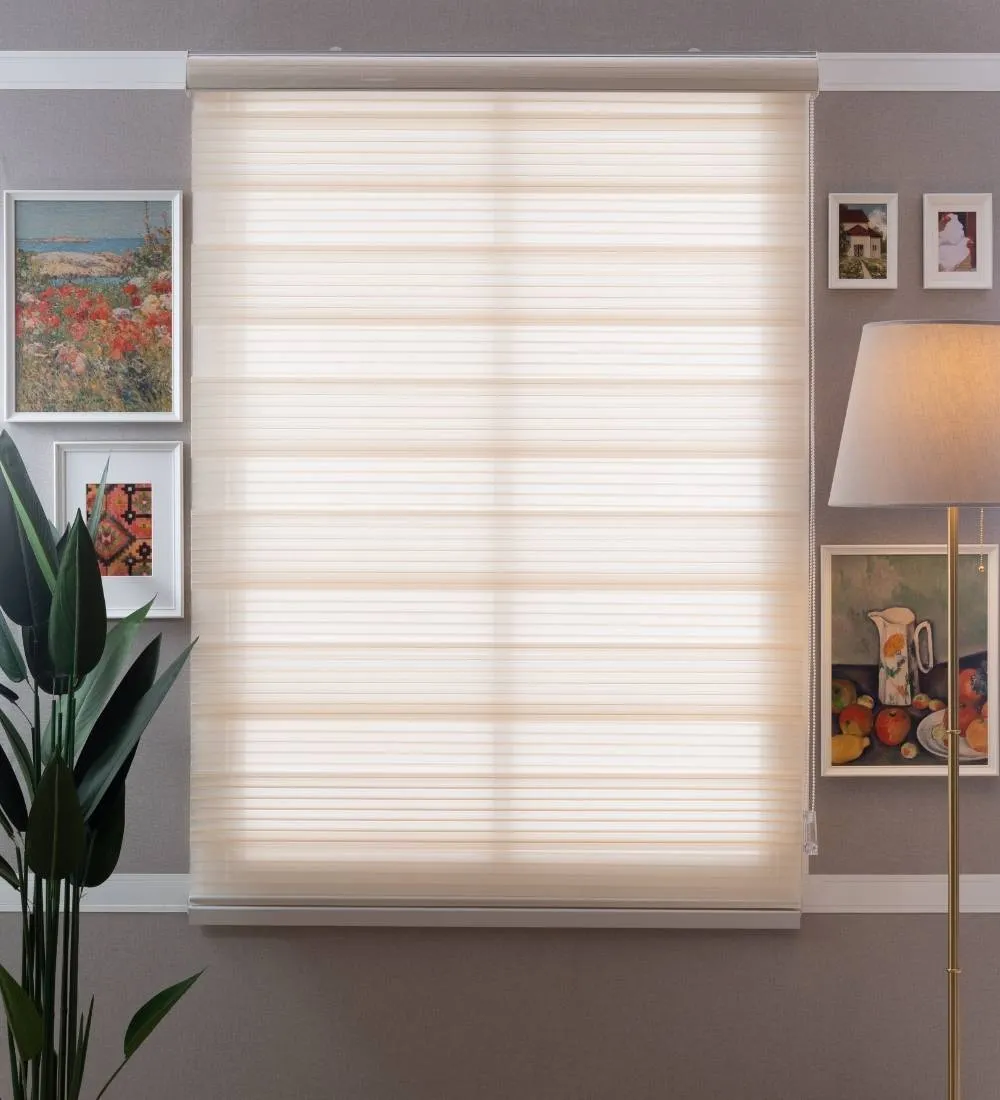 Bardo Pleated Room Darkening Zebra Blinds