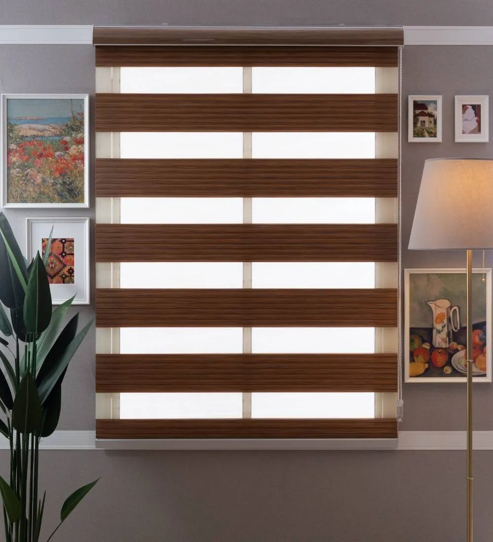 Bardo Pleated Room Darkening Zebra Blinds