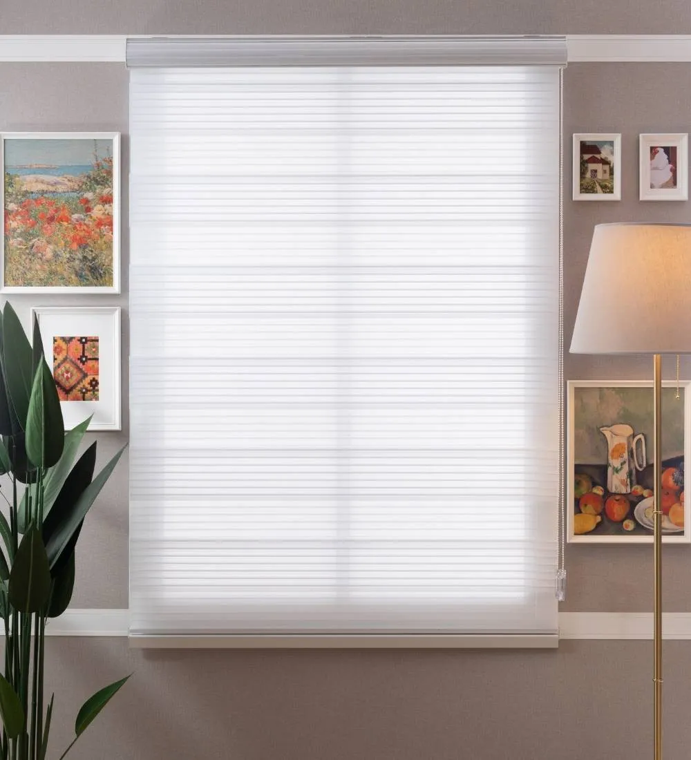 Bardo Pleated Room Darkening Zebra Blinds