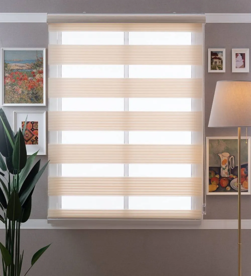 Bardo Pleated Room Darkening Zebra Blinds