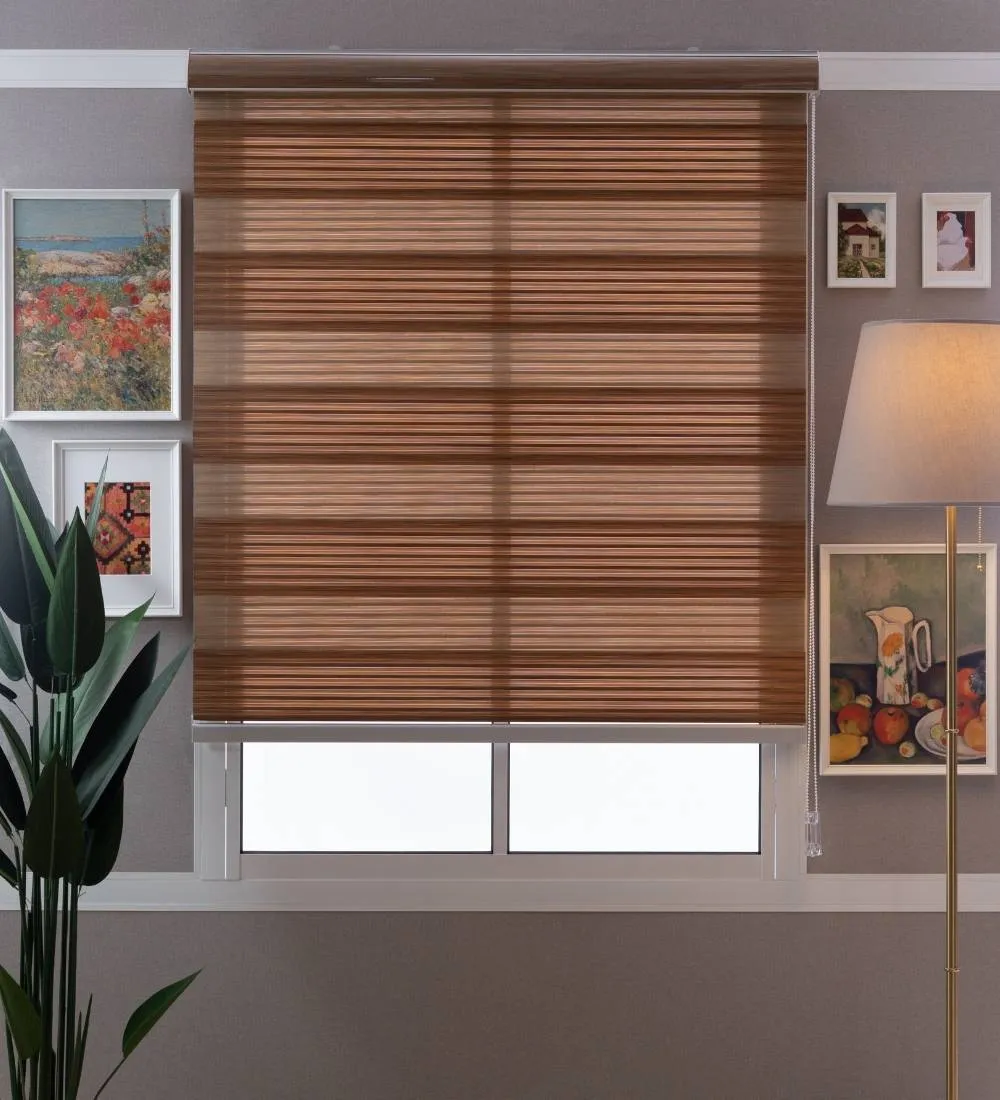 Bardo Pleated Room Darkening Zebra Blinds