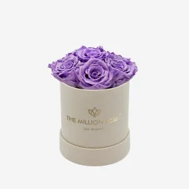 Basic Beige Suede Box | Lavender Roses