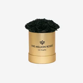 Basic Gold Box | Black Roses