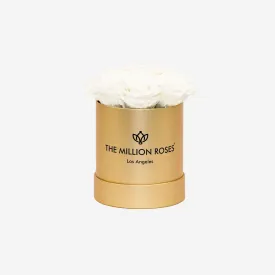 Basic Gold Box | White Roses