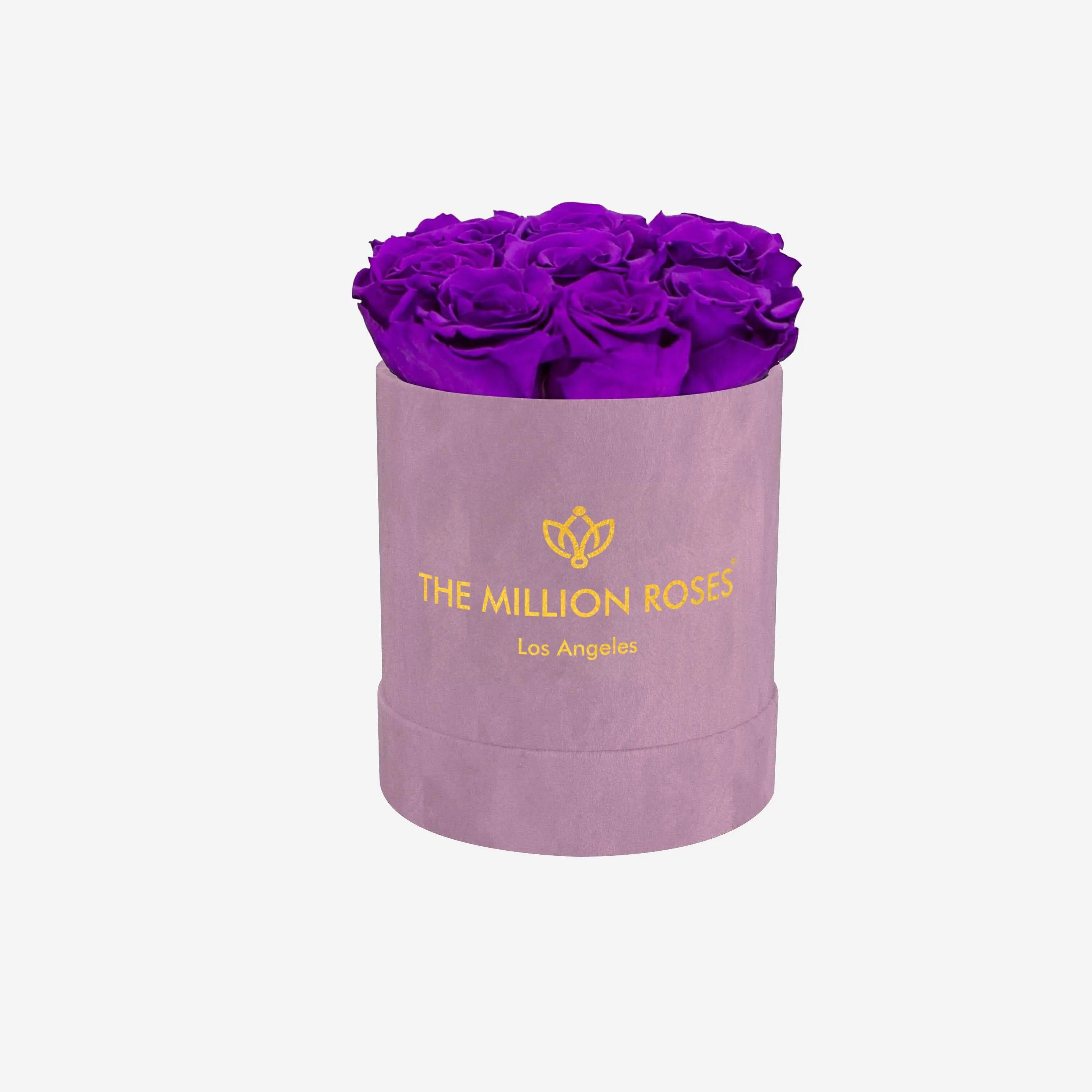 Basic Light Pink Suede Box | Bright Purple Roses