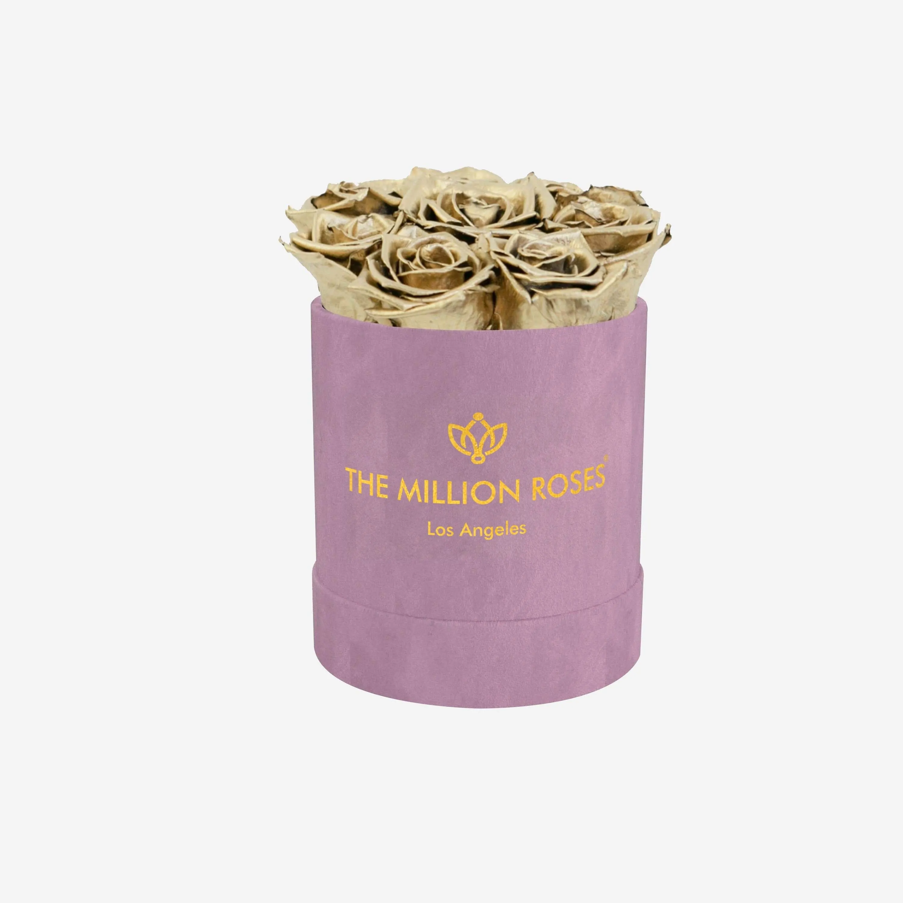 Basic Light Pink Suede Box | Gold Roses