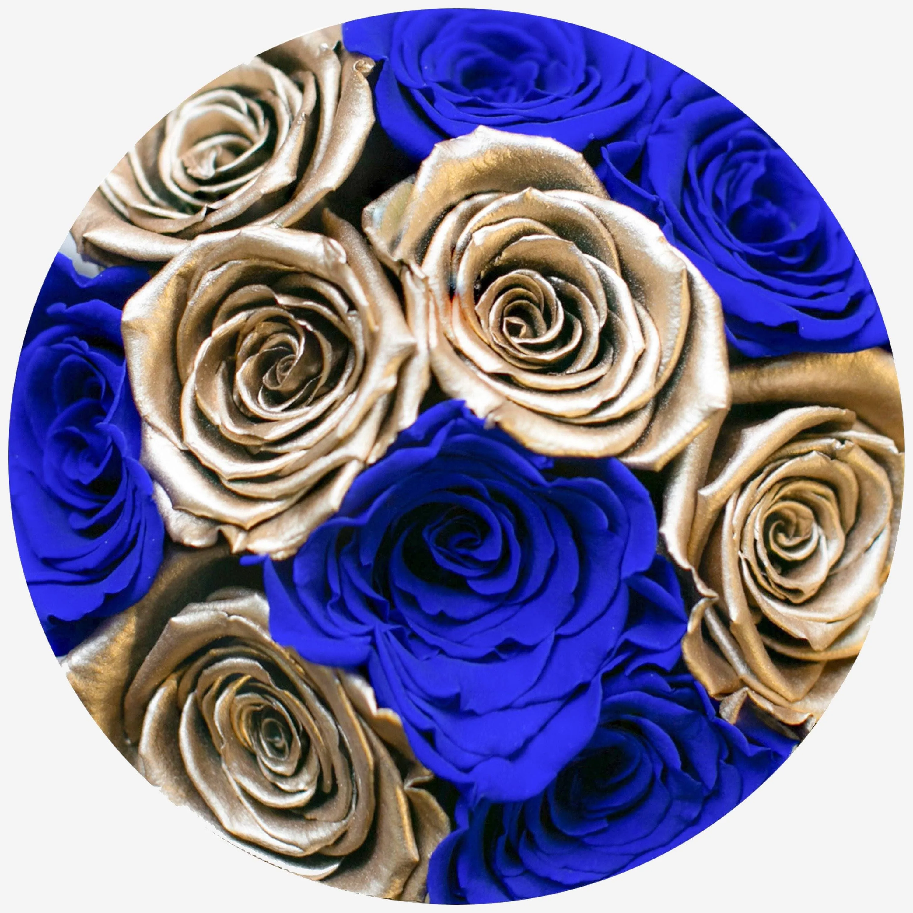 Basic Royal Blue Box | Royal Blue & Gold Roses