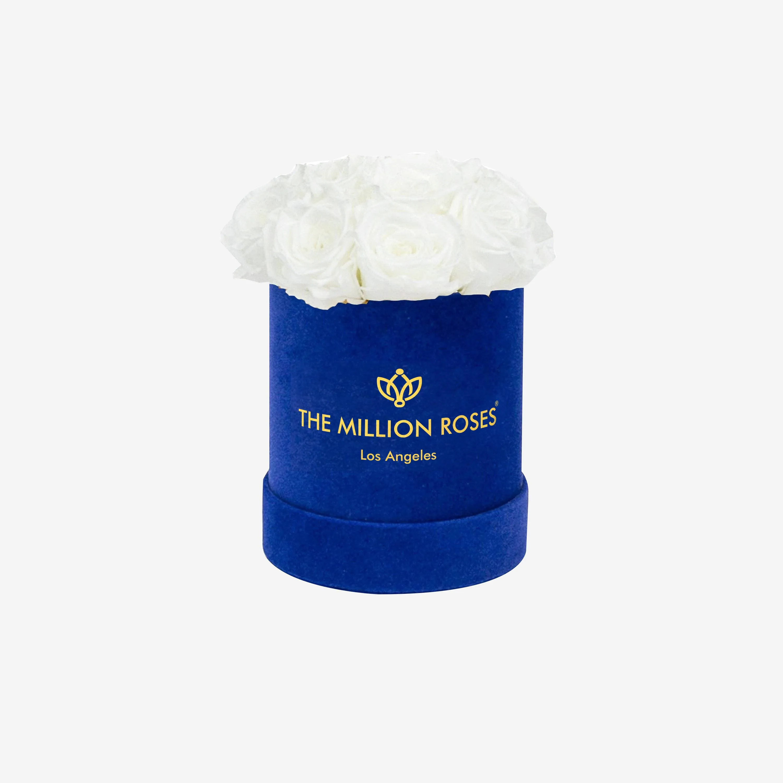 Basic Royal Blue Box | White Roses