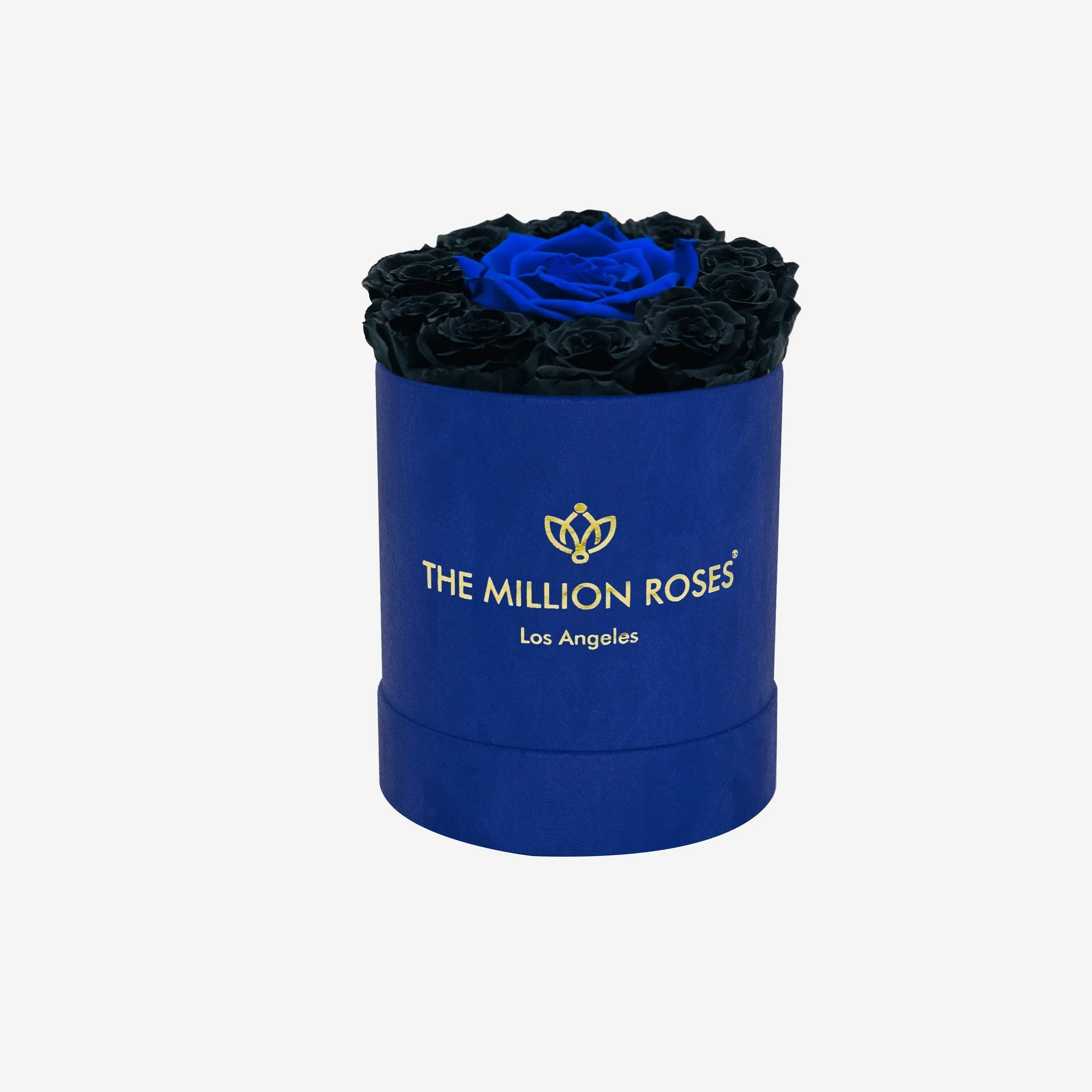 Basic Royal Blue Suede Box | Black & Royal Blue Mini Roses