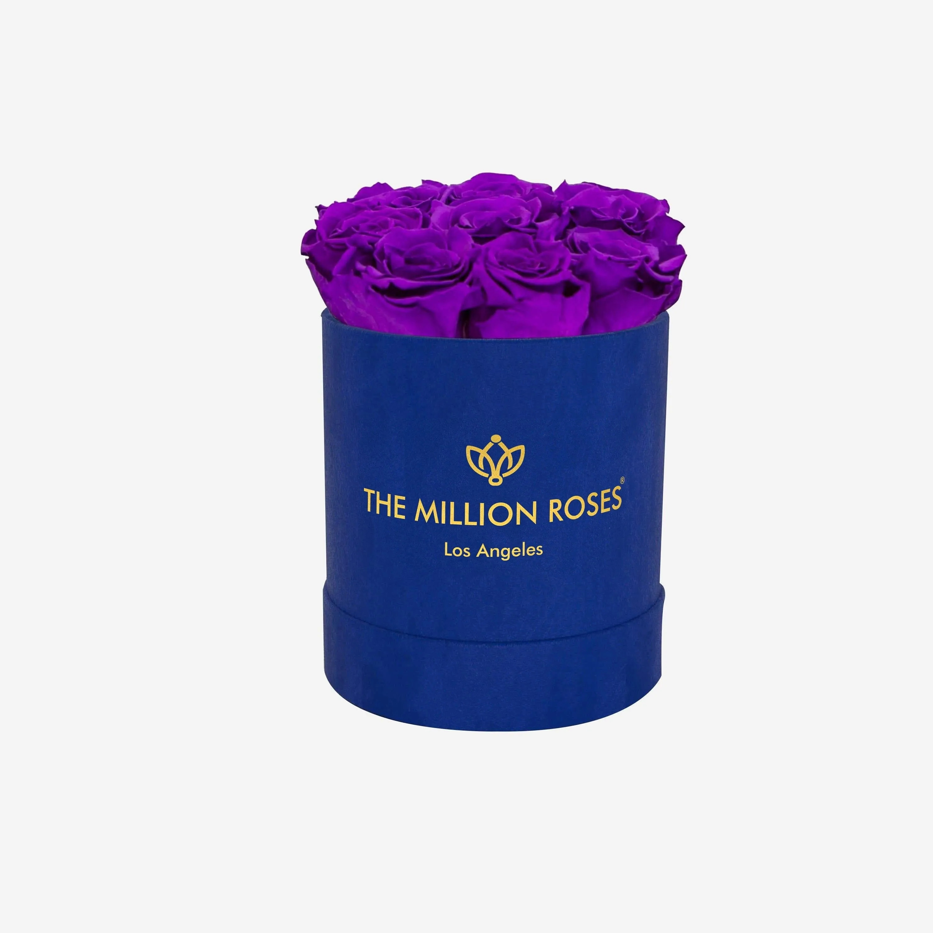 Basic Royal Blue Suede Box | Bright Purple Roses