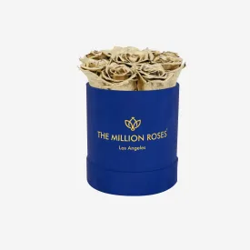 Basic Royal Blue Suede Box | Gold Roses