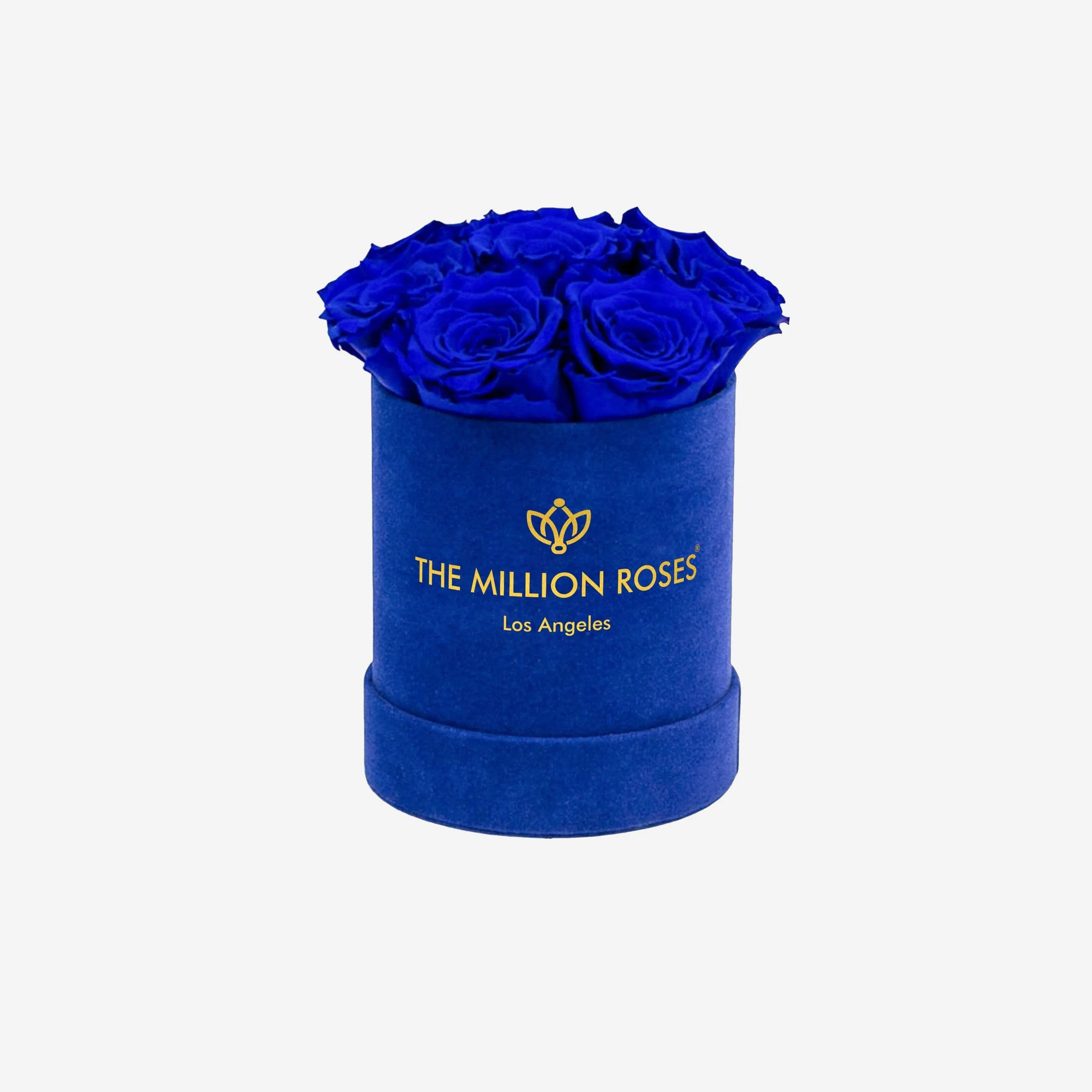 Basic Royal Blue Suede Box | Royal Blue Roses