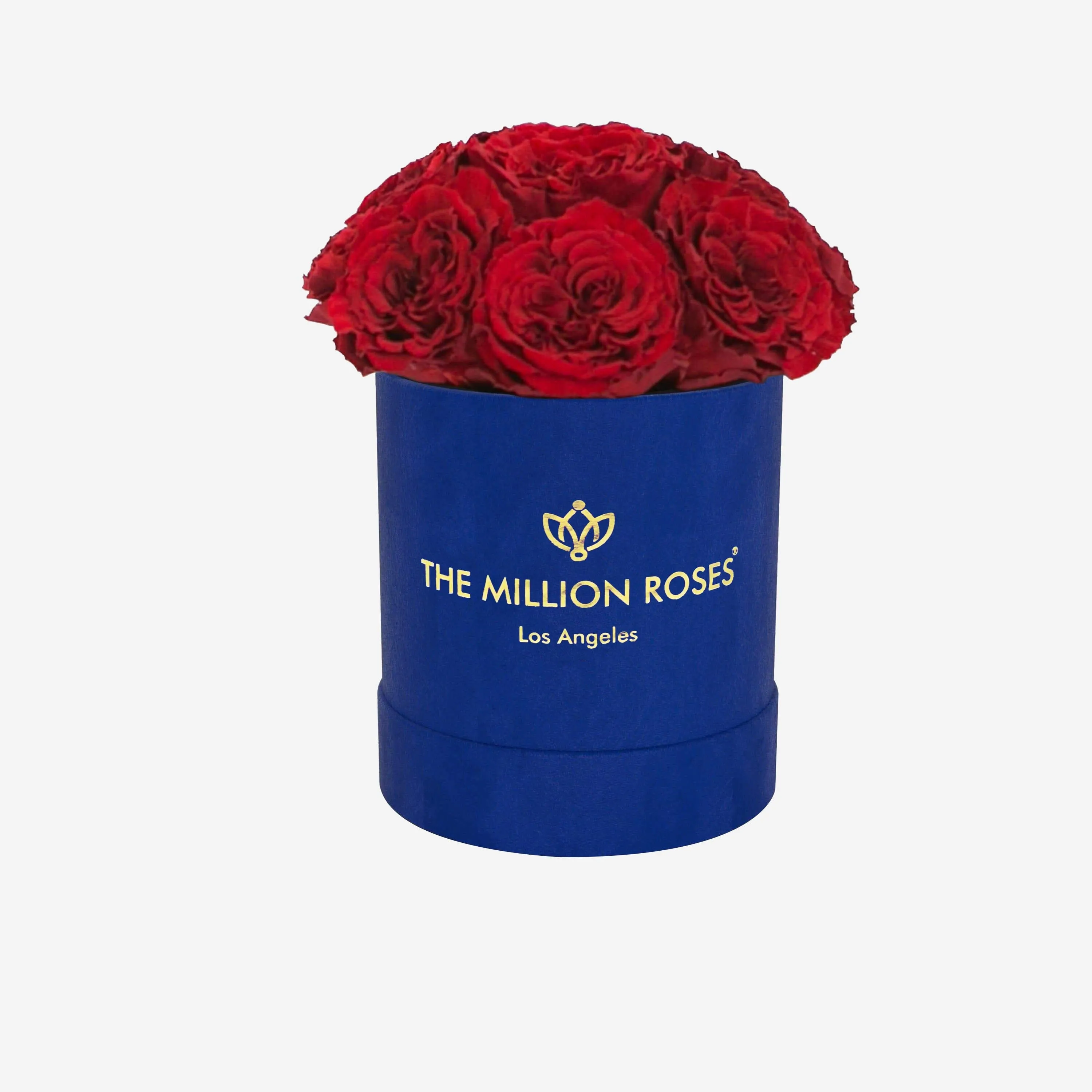 Basic Royal Blue Suede Dome Box | Red Carmen Roses