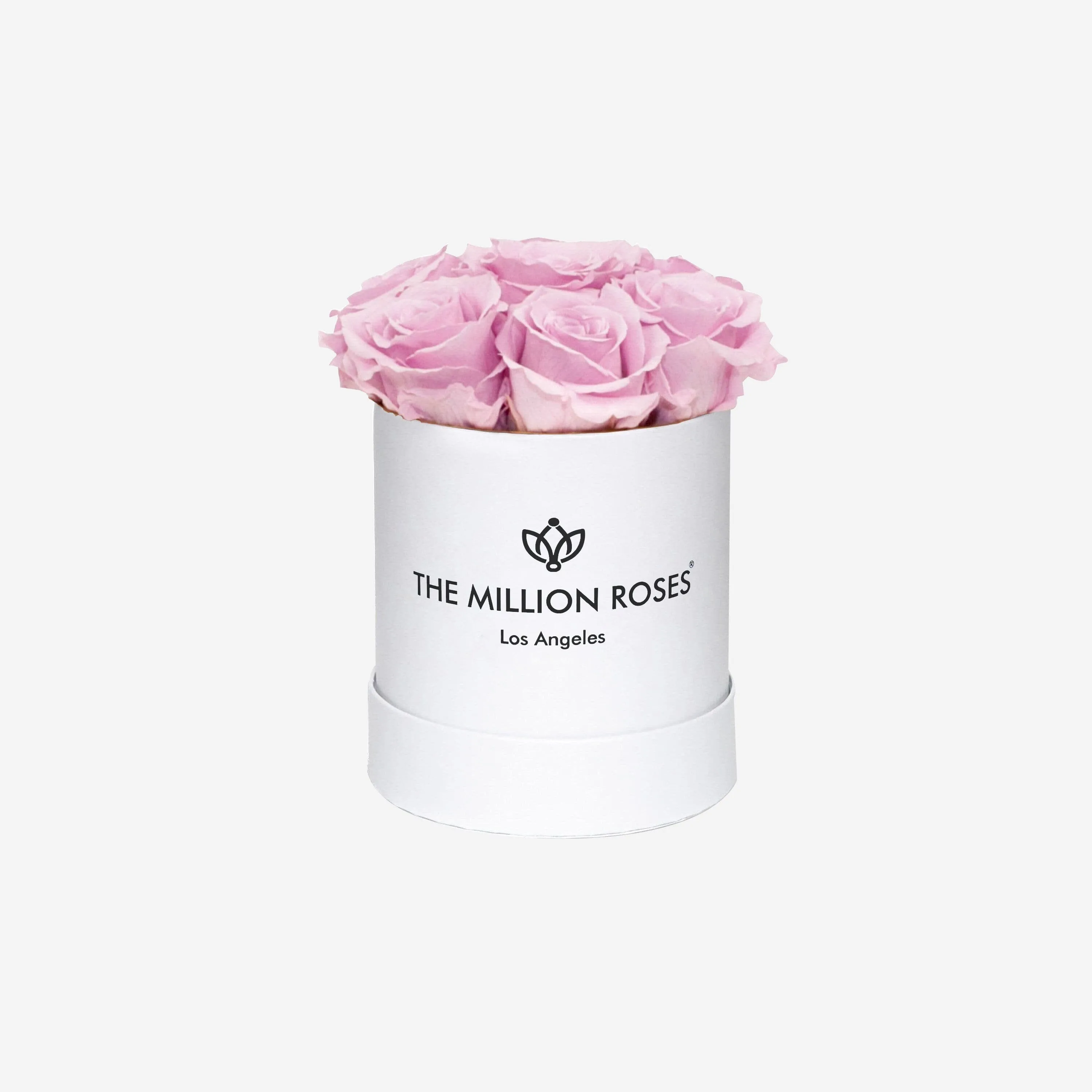 Basic White Box | Light Pink Roses