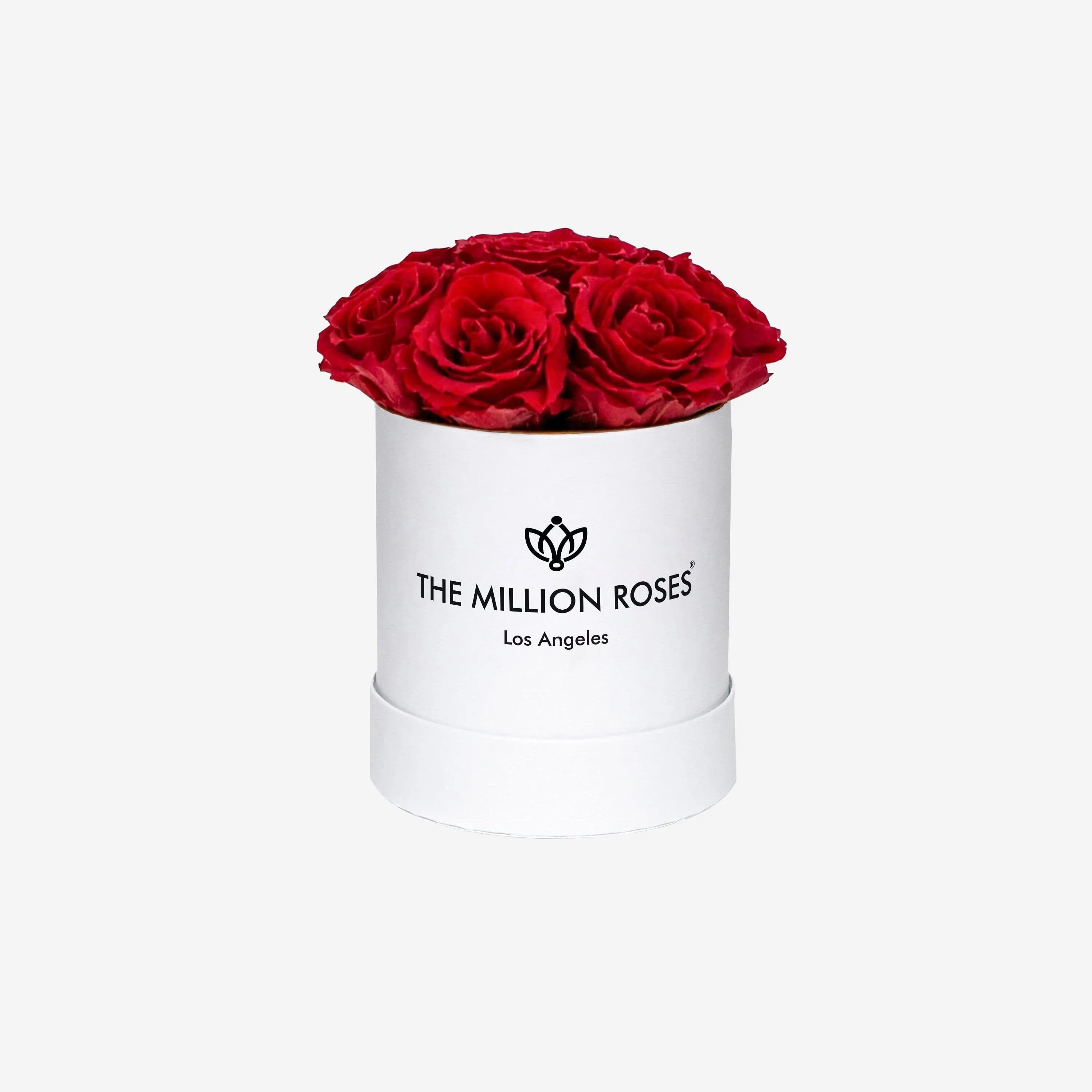 Basic White Box | Red Roses