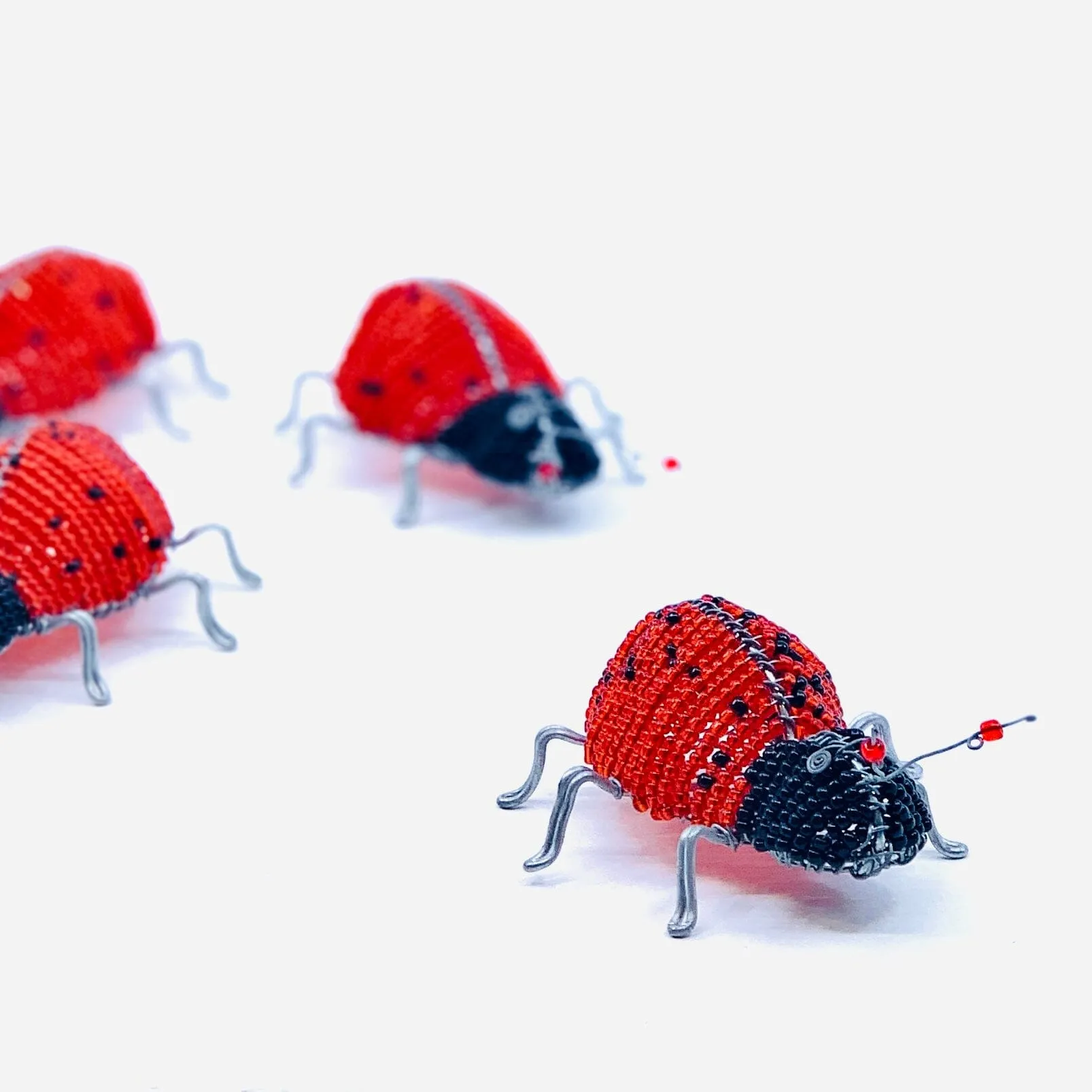 Beaded Lady Bug