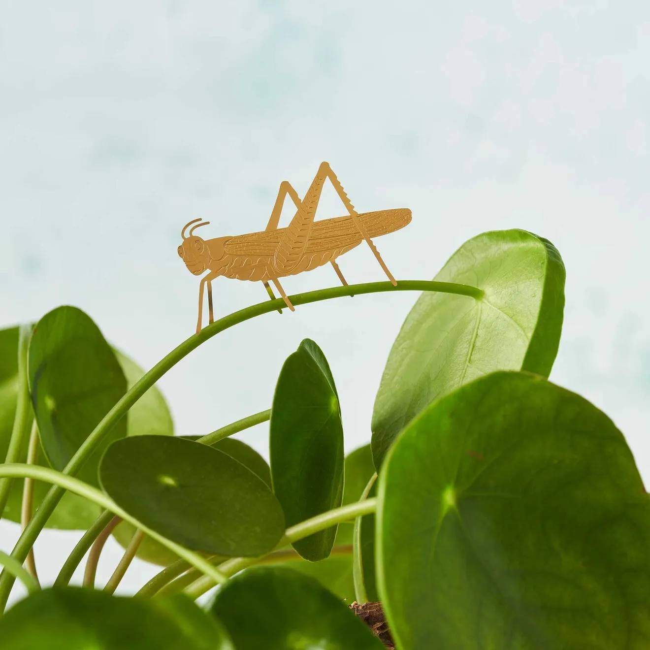 Brass Plant Accessory: Grasshopper