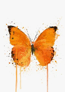 Butterfly Wall Art Print ‘Tangerine Dream'