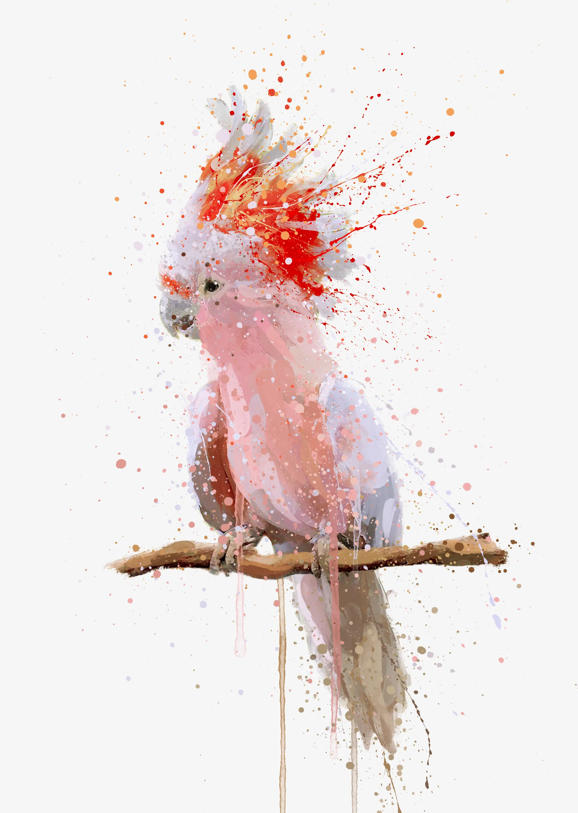 Cockatoo Wall Art Print ‘Pink Majesty’