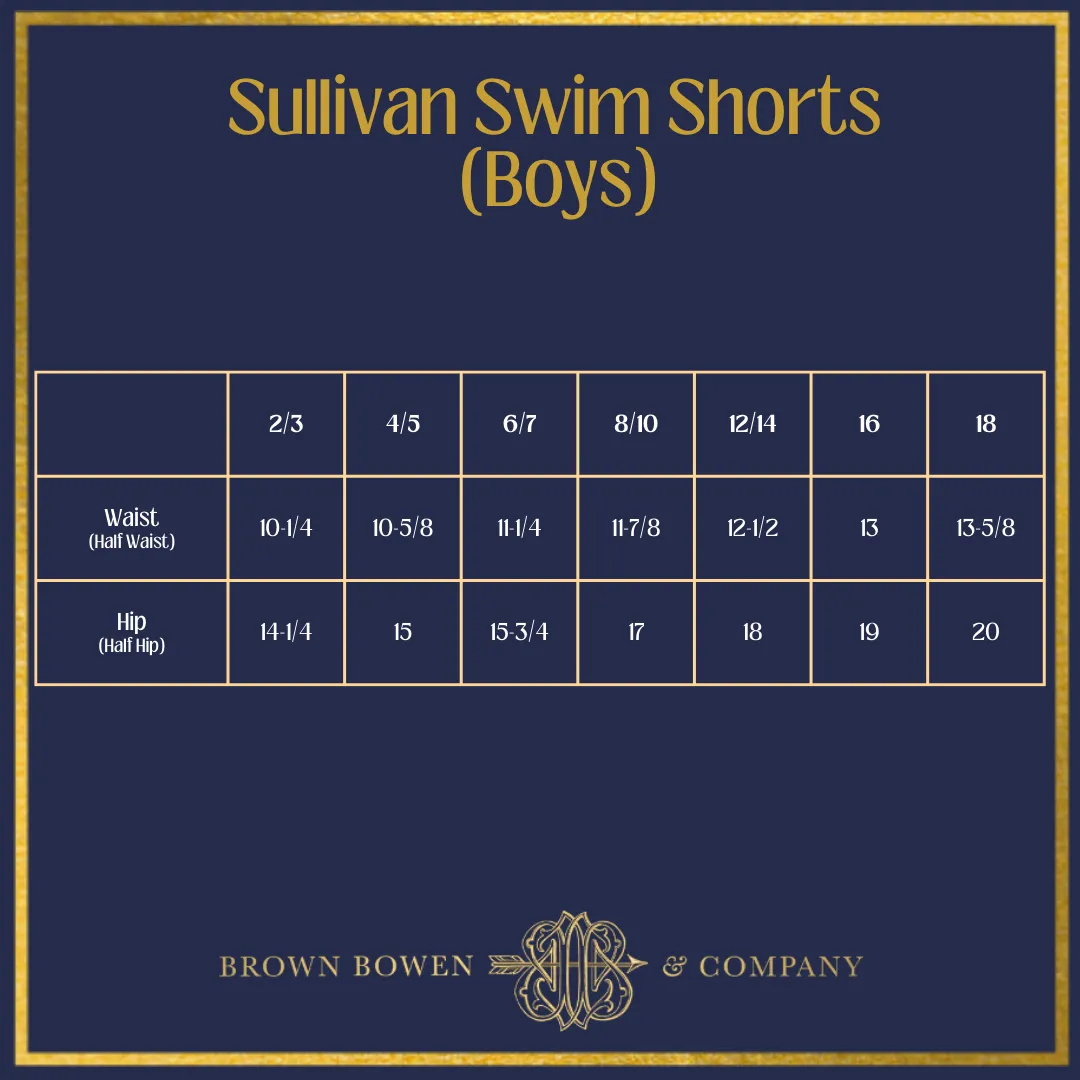 Sullivan Swim Shorts (Boys) - Flags & Fireworks