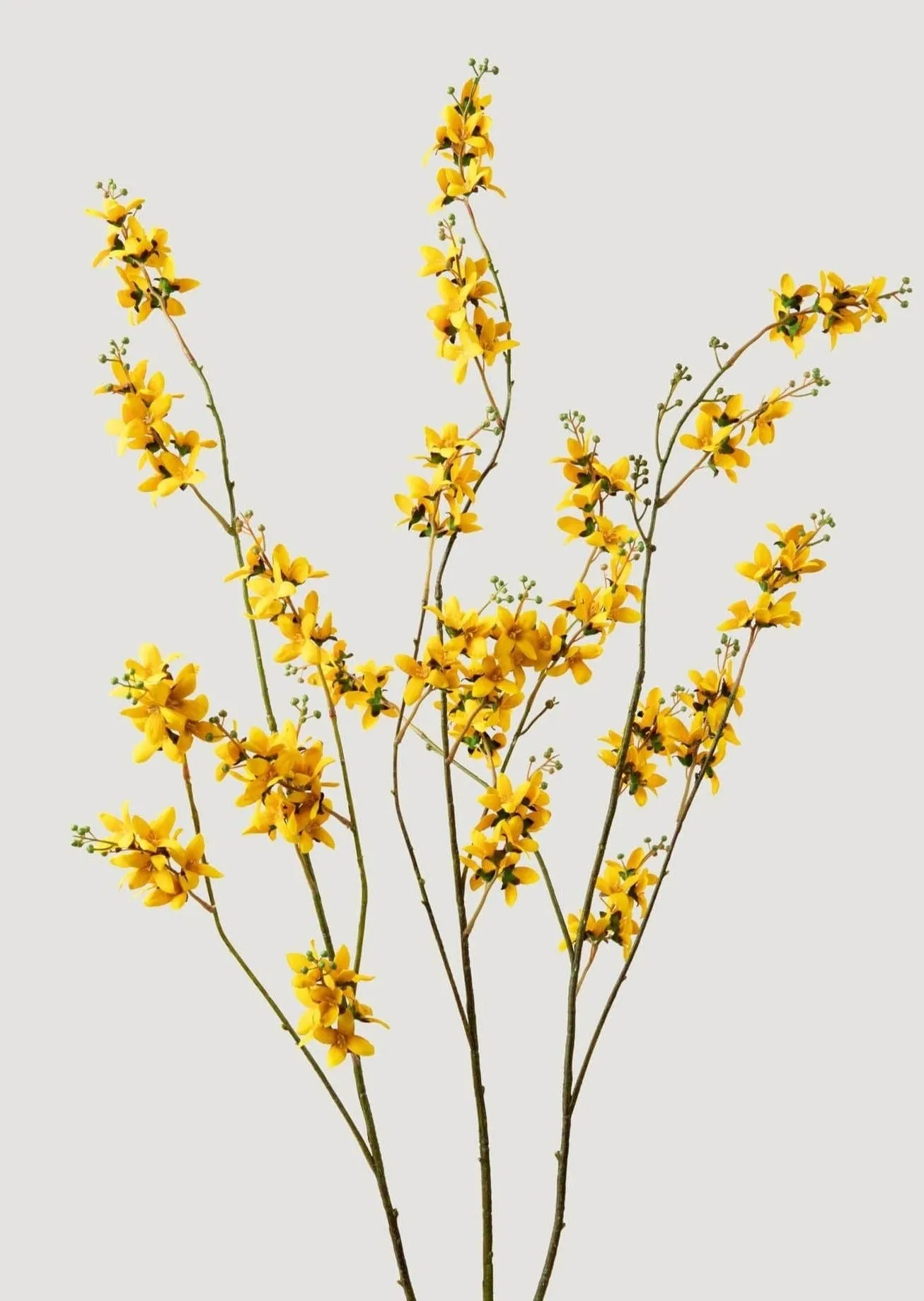 Tall Faux Forsythia Branch in Yellow - 53"