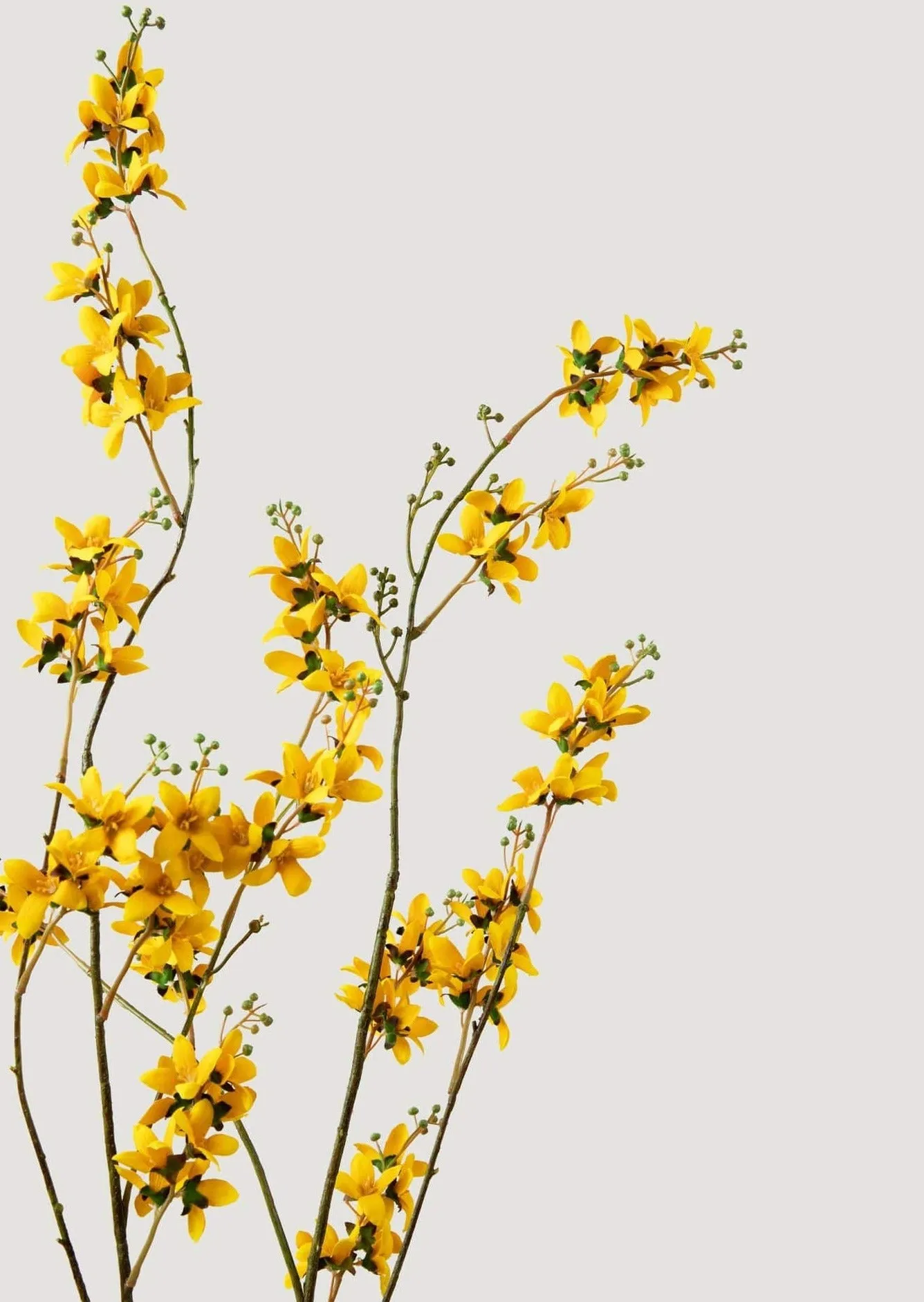 Tall Faux Forsythia Branch in Yellow - 53"