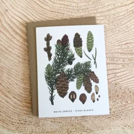 White Spruce Card