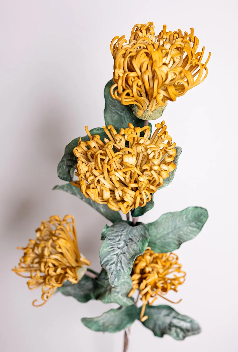 Yellow Chrysanthemum Flower Stem